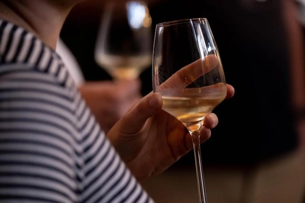 Visite de cave de Noël Immersive et dégustation de vins d'Alsace – photo 26