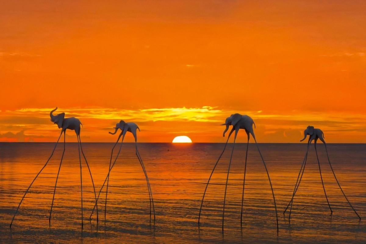 three elephants standing in the water at sunset