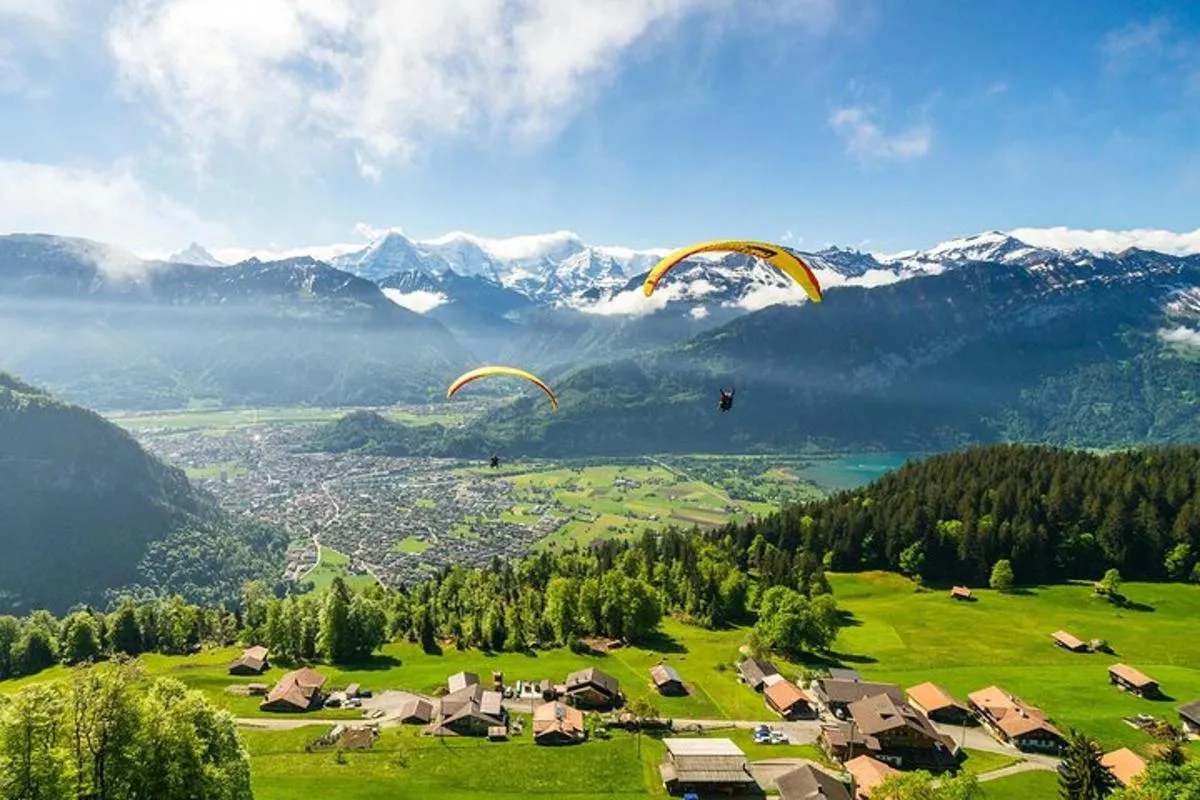 De Bâle : Train panoramique Premium, Lucerne & Interlaken Tour – photo 9