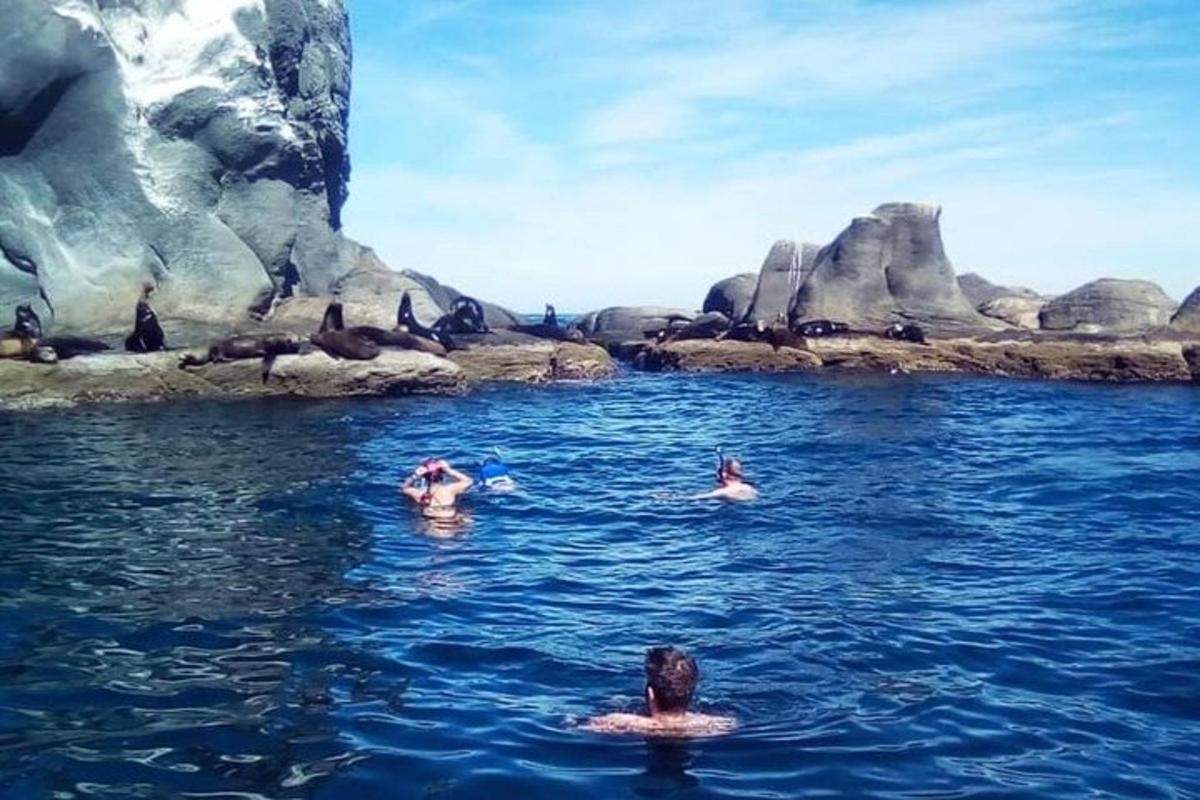 a group of people swimming in the water