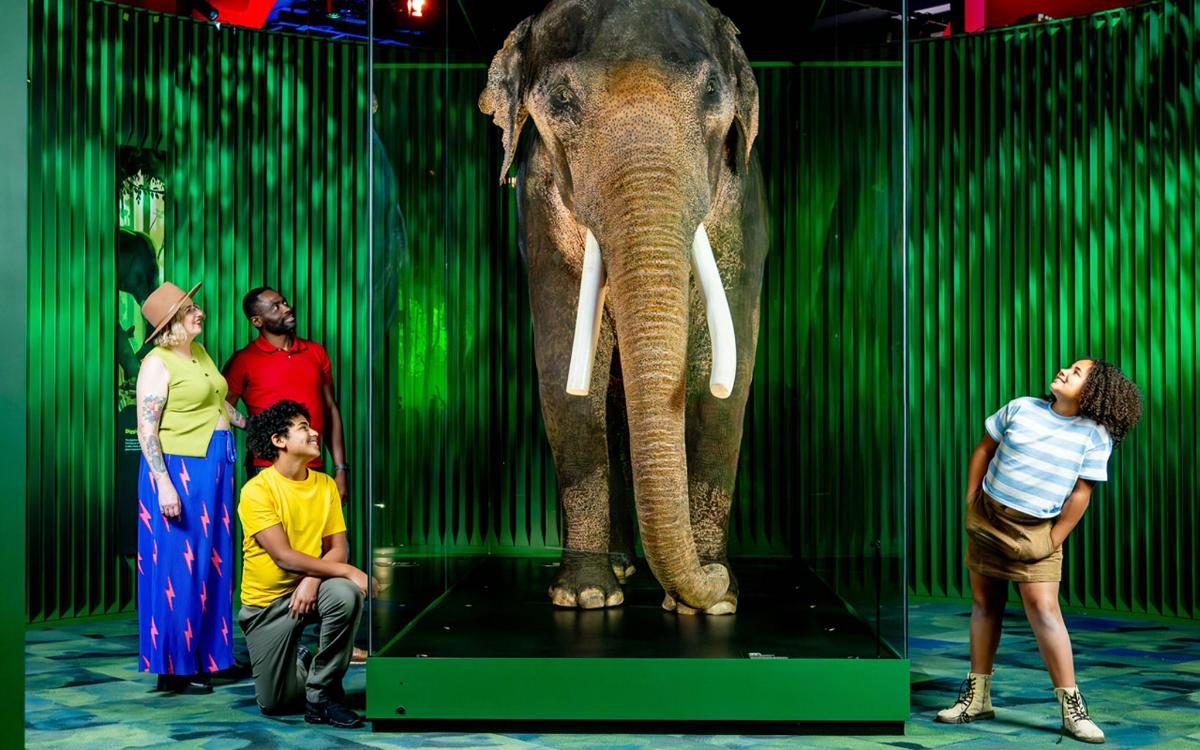 a group of people standing around an elephant on a platform