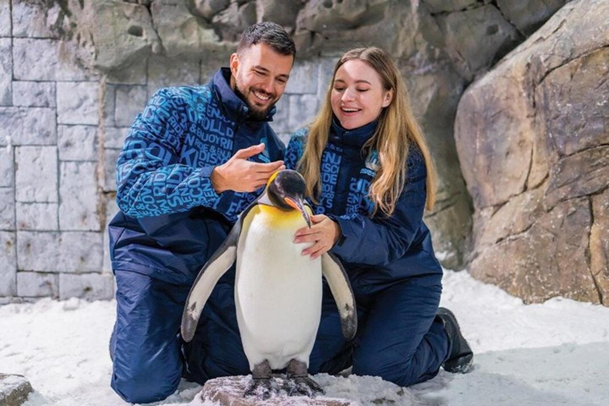 a man and a woman sitting next to a penguin