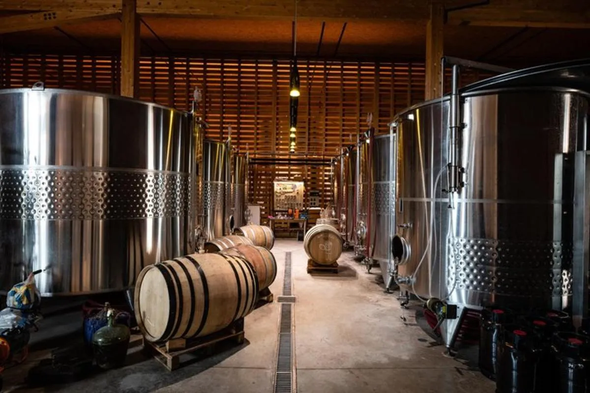 Alsace : Visite Chai Paille Unique/Dégustation Vins Biodynamiques – photo 12