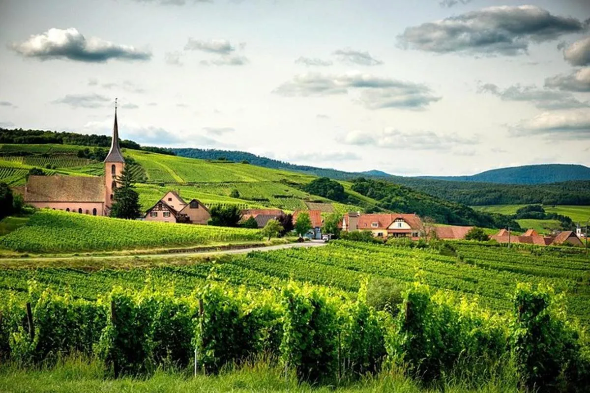 Rallye Voiture Insolite sur la Route des Vins d'Alsace – photo 8