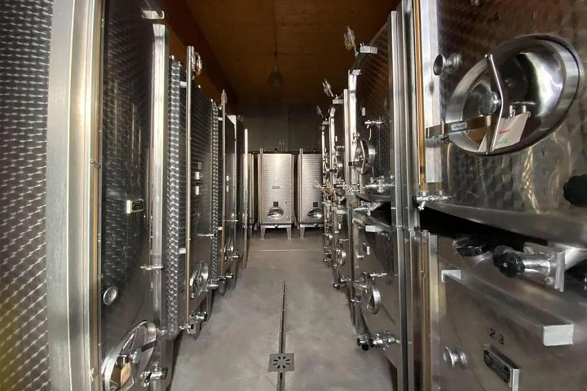 Kellerbesichtigung und Weinprobe im Elsass mit weiblichem Touch – Foto 7