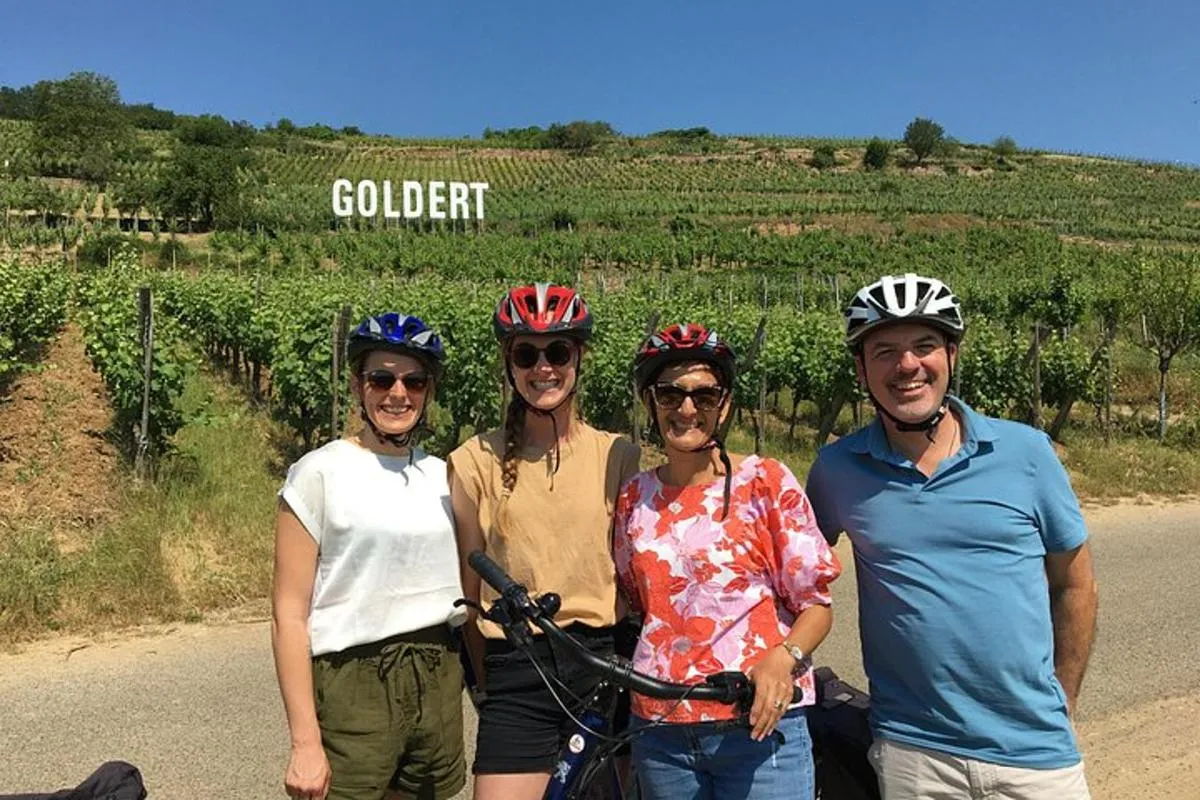 Durch elsässische Weinberge und Weindörfer Private Radtour – Foto 15