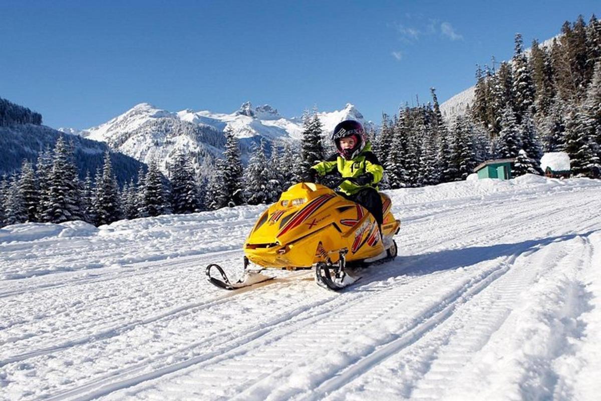 a person sitting on a snowmobile in the snow