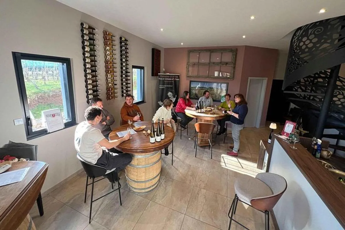 Colmar : dégustation de 5 vins biologiques, 45 min – photo 7