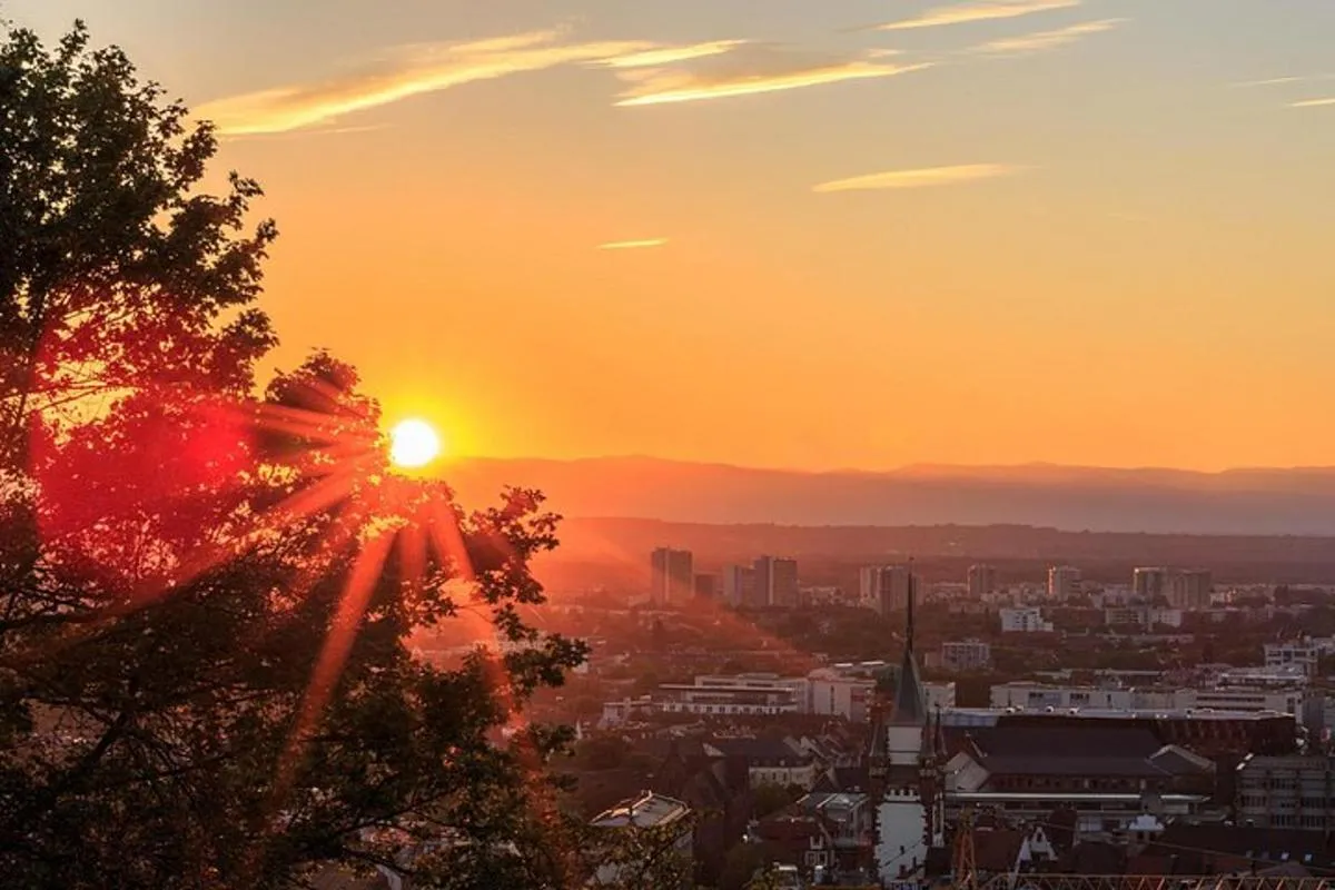 Veni vidi vino - la randonnée viticole de Fribourg – photo 6