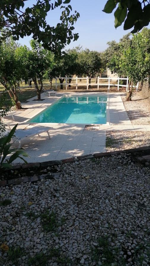 Piscina di Villa Iulia Hills o nelle vicinanze