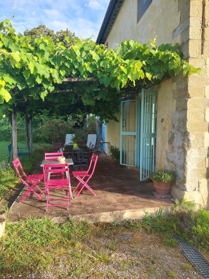 Giardino di Azienda Agricola Fabbrica Di San Martino