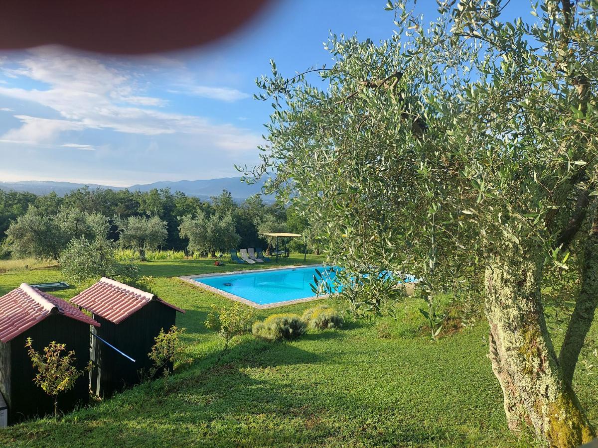 Piscina di Azienda Agricola Fabbrica Di San Martino o nelle vicinanze