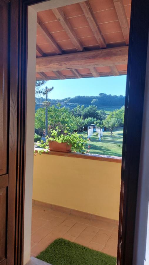 Vista generica sulle montagne o vista sulle montagne dall'interno dell'agriturismo