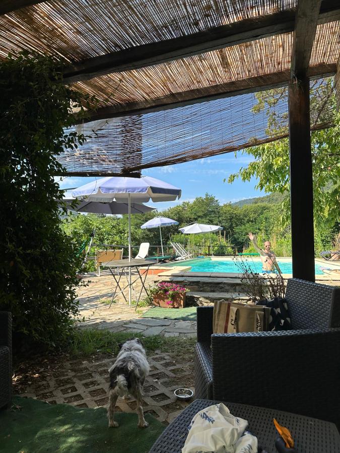 Piscina di Agriturismo Saudon o nelle vicinanze