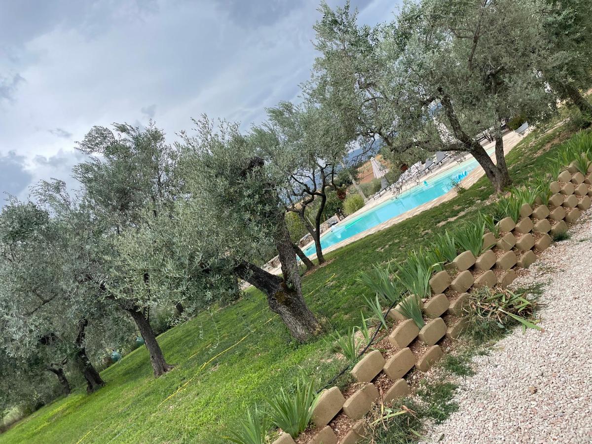 Piscina di Uliveto Benedetti o nelle vicinanze