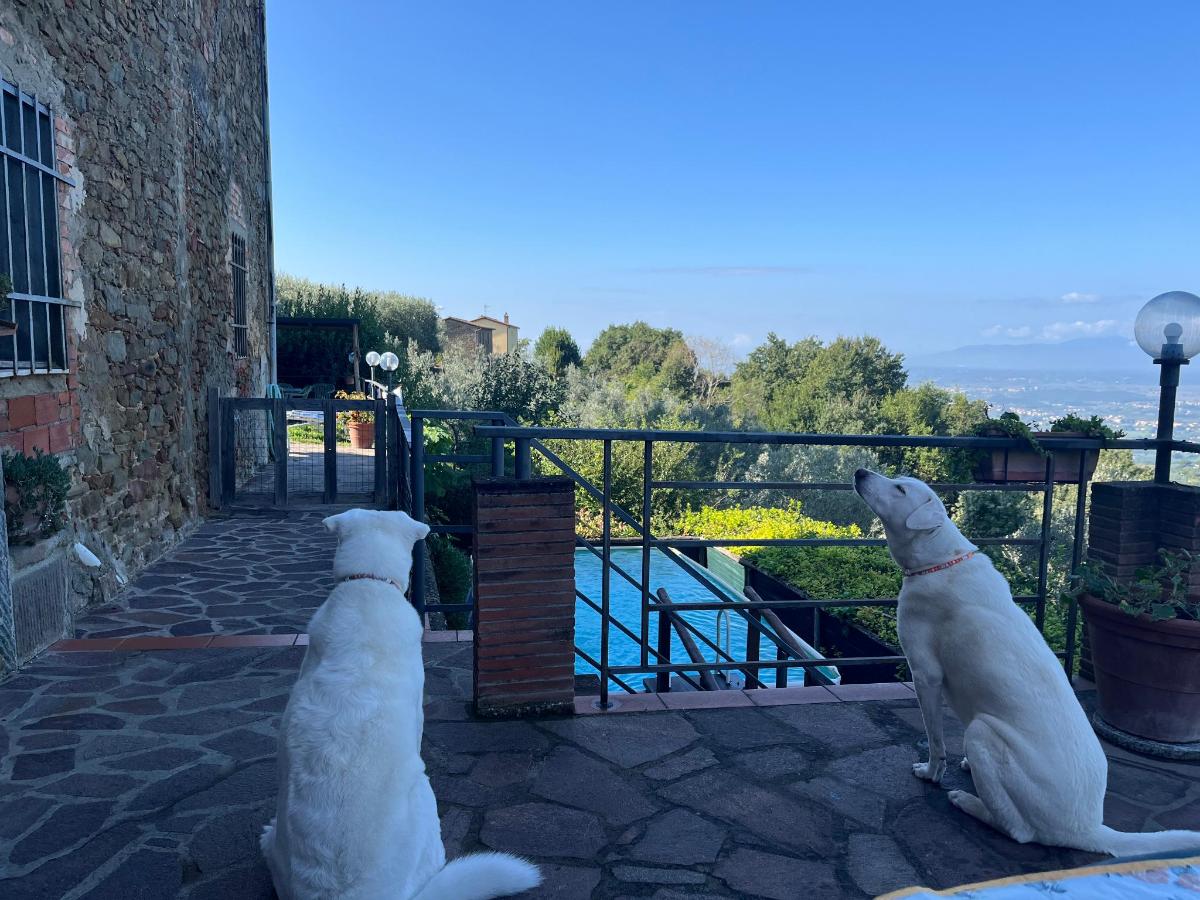 Piscina di Casa Mela o nelle vicinanze