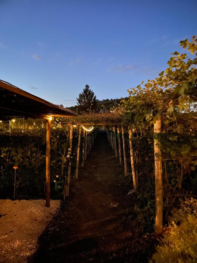 Giardino di La Rosa Gialla Bio Apartments & rooms