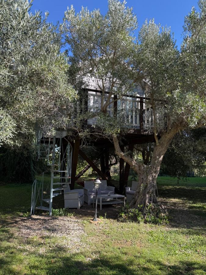 Giardino di Palazzo Conforti Tree House Resort