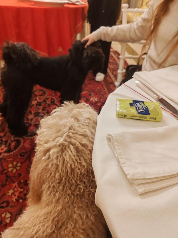 Ospiti di Palazzo Cherubini-Pools & Wellness con animali domestici