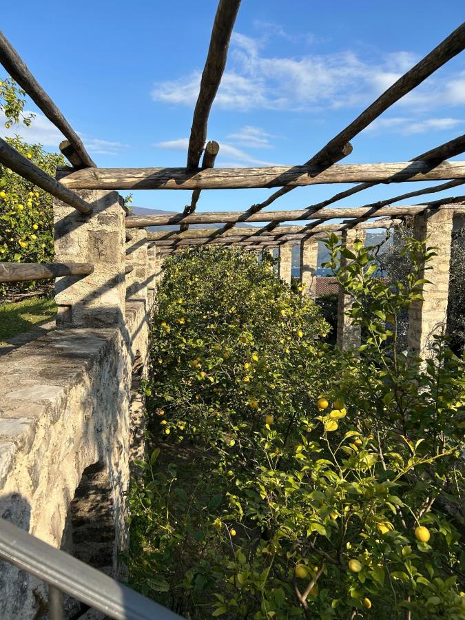 Giardino di Hotel Livia