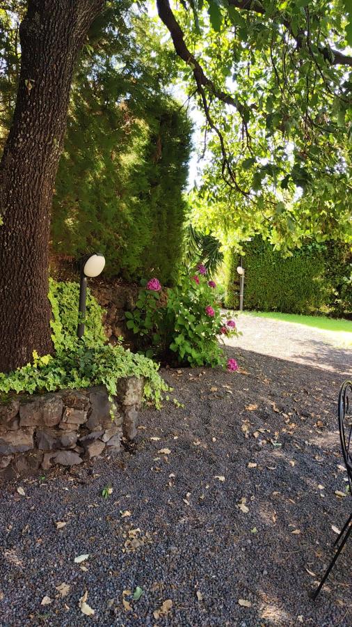 Giardino di Bed and Breakfast Il Glicine