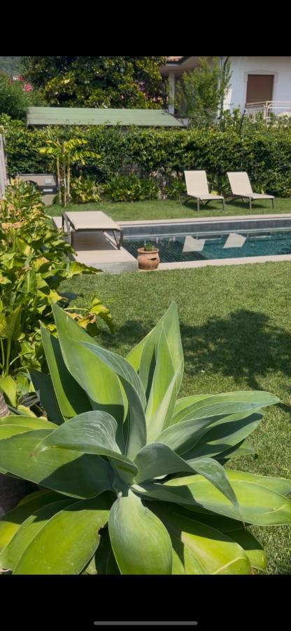 Giardino di Villa Giulia Rooms & Bike