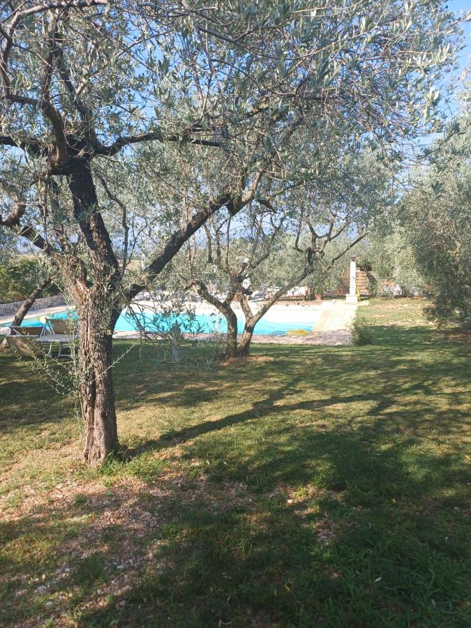 Piscina di Uliveto Benedetti o nelle vicinanze