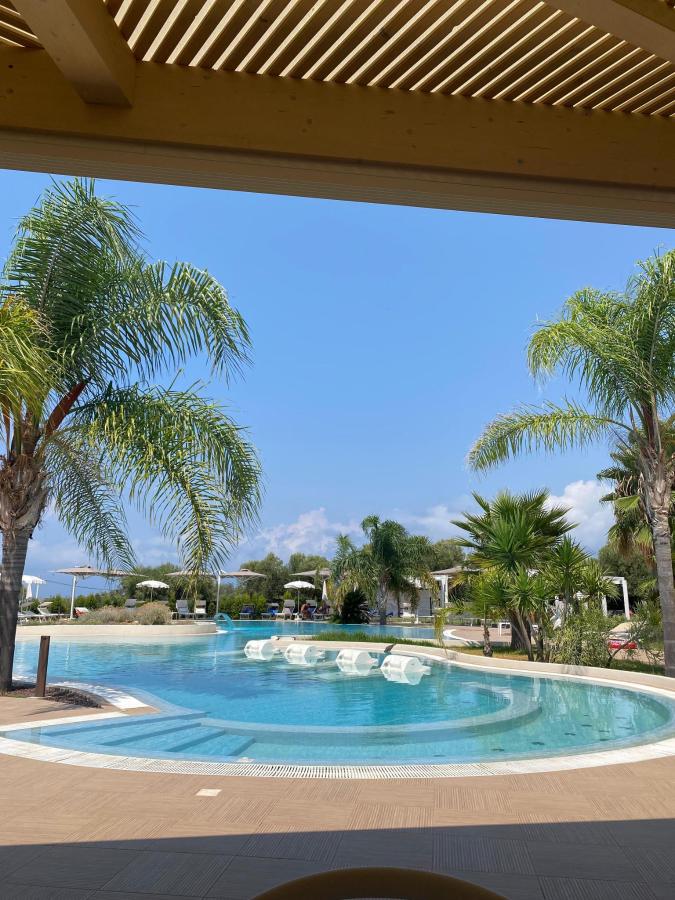 Piscina di Agave Blu o nelle vicinanze