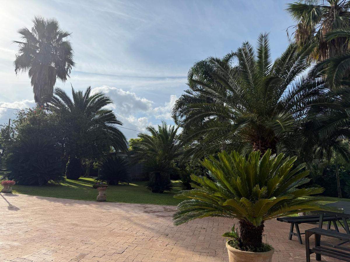 Giardino di Oasi Verde