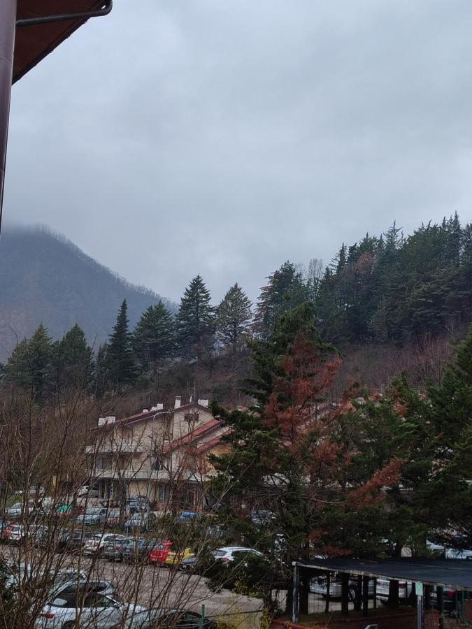 Vista generica sulle montagne o vista sulle montagne dall'interno dell'hotel