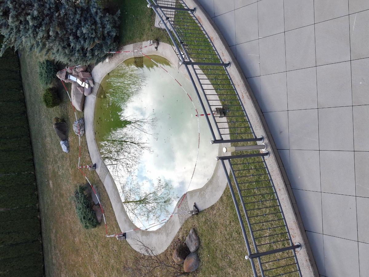 Piscina di Rio Stava Family Resort & Spa o nelle vicinanze
