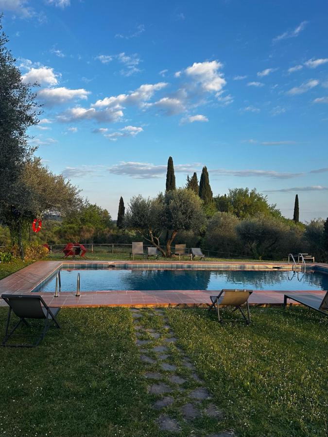 Piscina di Castello di Bossi o nelle vicinanze