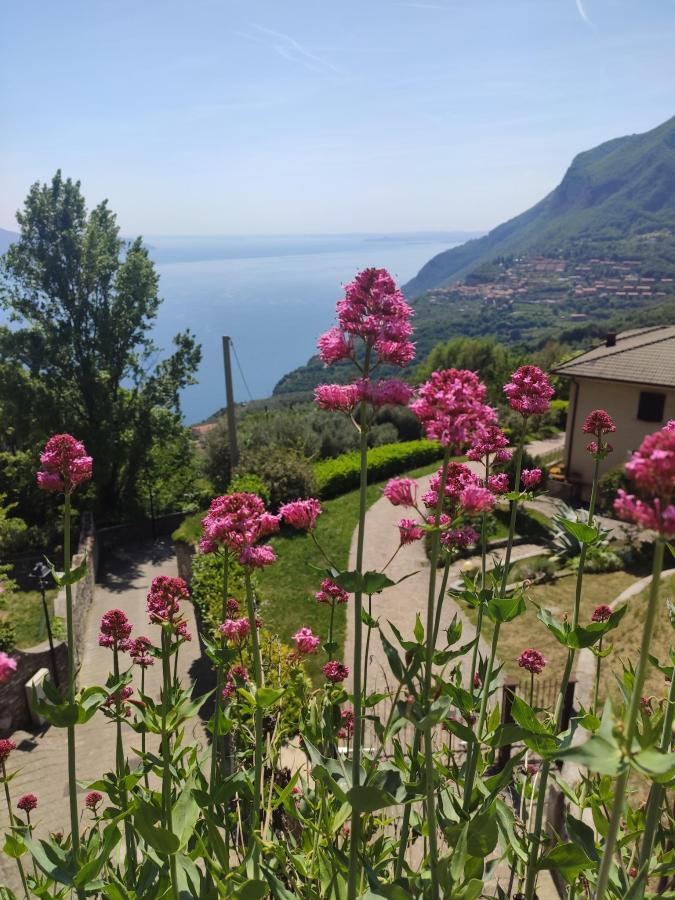Paesaggio naturale nelle vicinanze dell'aparthotel