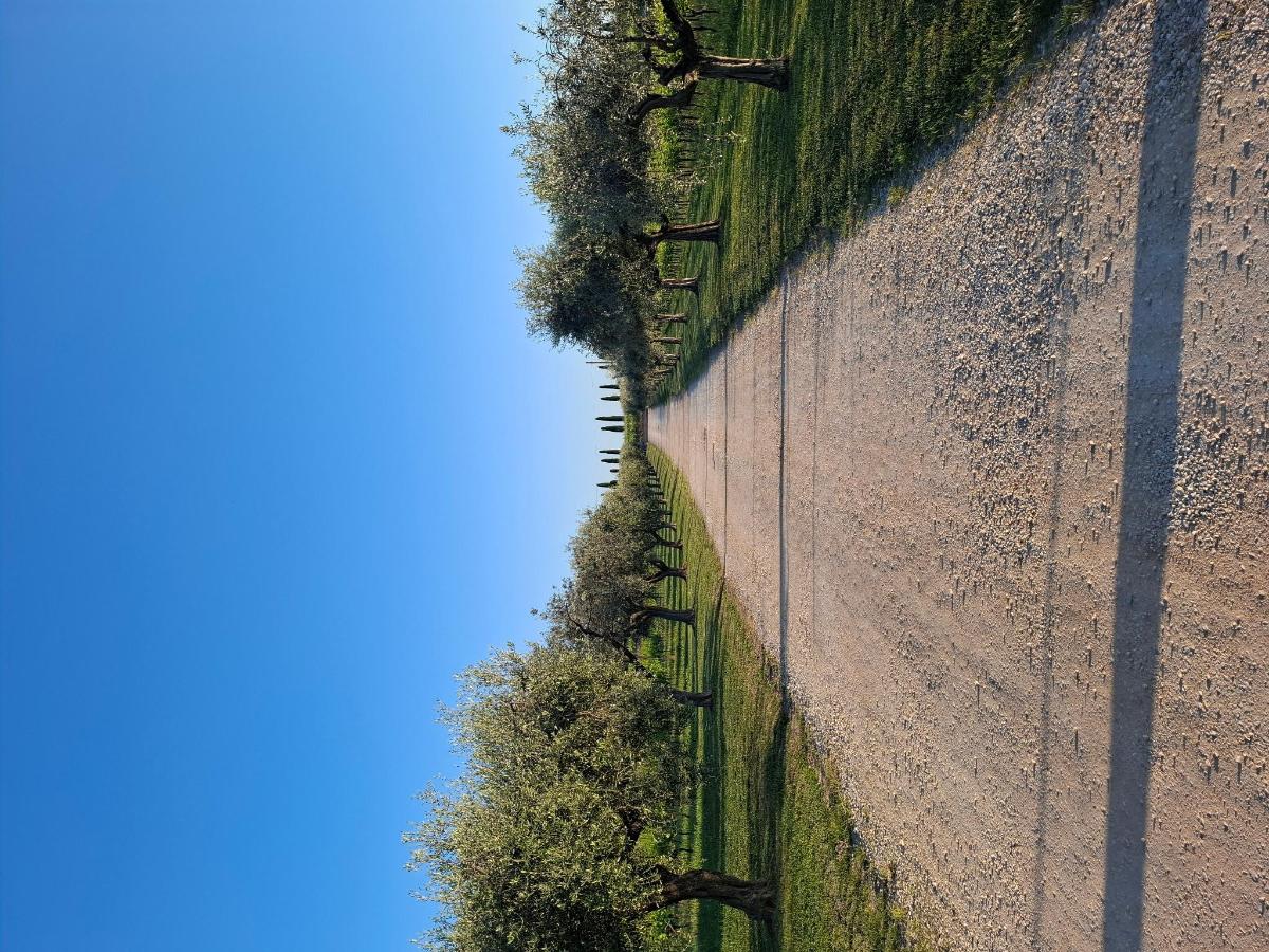 Paesaggio naturale nelle vicinanze dell'hotel