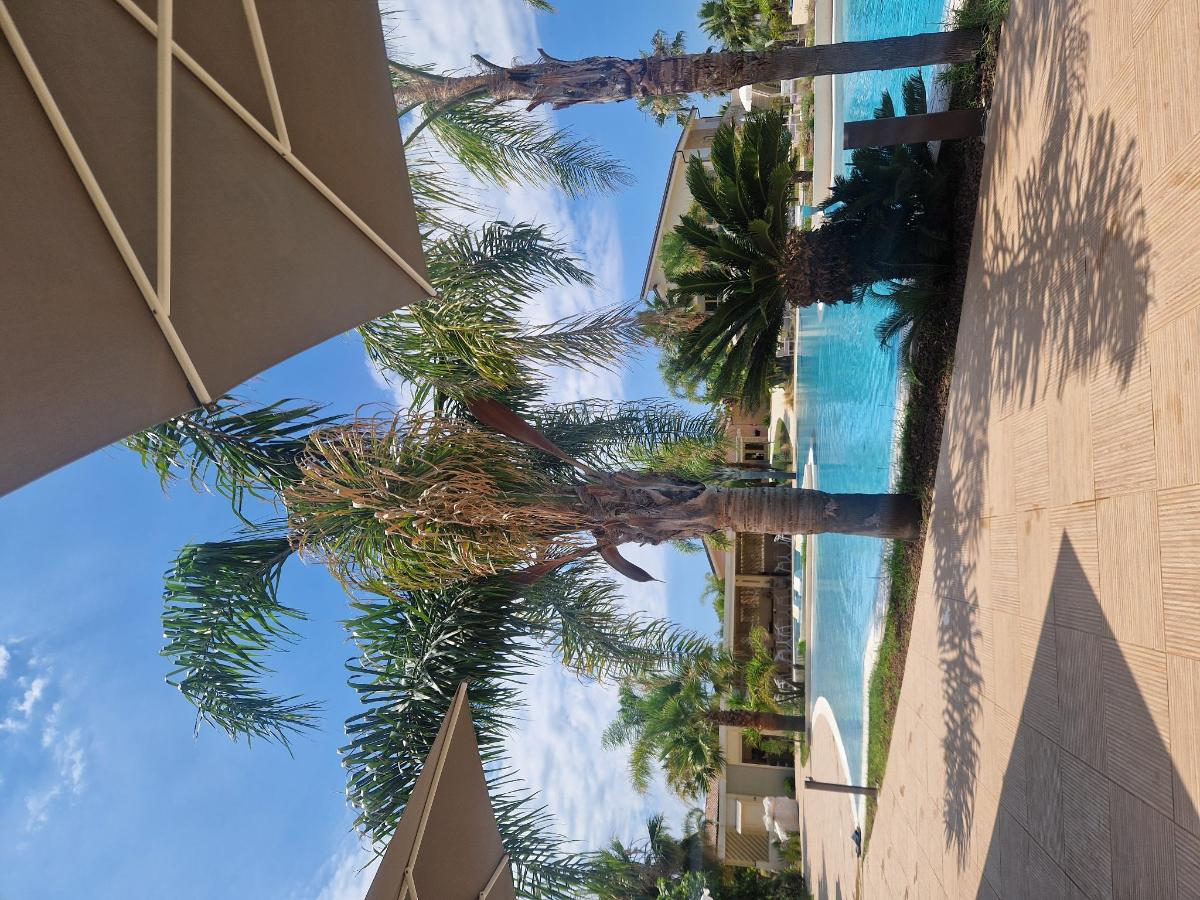 Piscina di Agave Blu o nelle vicinanze
