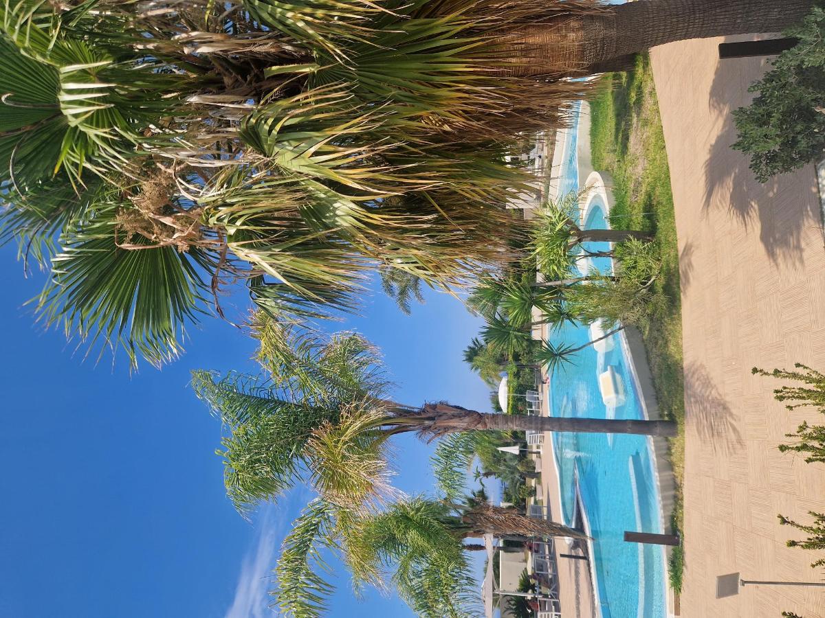 Piscina di Agave Blu o nelle vicinanze