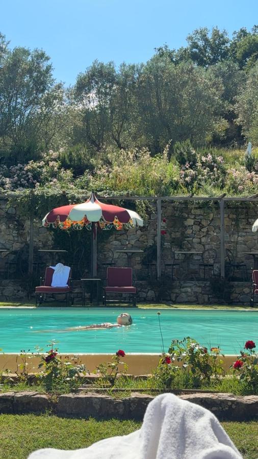 Piscina di Terre di Baccio o nelle vicinanze