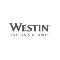 Hotel chain/brand