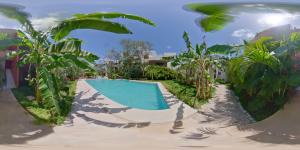 Fotografie z fotogalerie ubytování Panacea Condo Tulum v destinaci Tulum