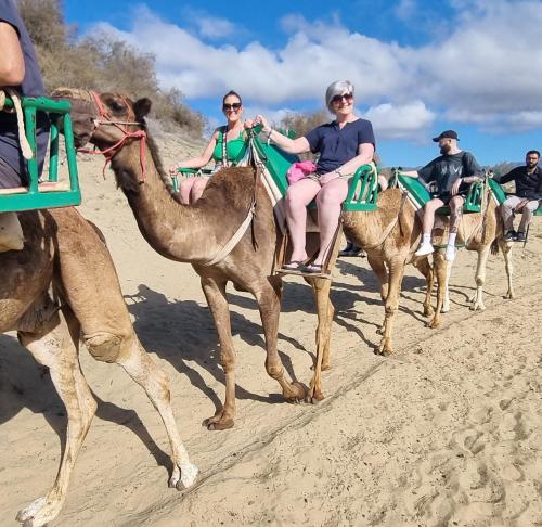 a group of people riding camels on the beach
