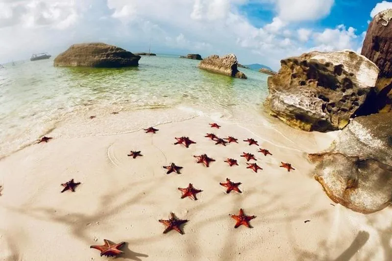 Land Tour 2: Discover the North – Kayaking & Starfish beach Phu Quoc (Not Lunch)