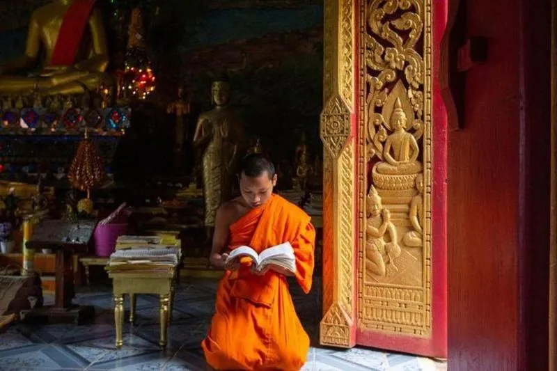 Price range for Walking Tours from Luang Prabang from 50 USD to 210 USD Price range for Walking Tours from Luang Prabang from 50 USD to 210 USD
