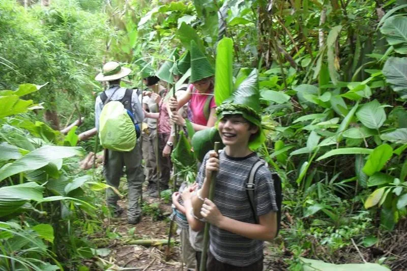Featured tour with 13 reviews: Chiang Rai: Trekking & bamboo cooking Tour