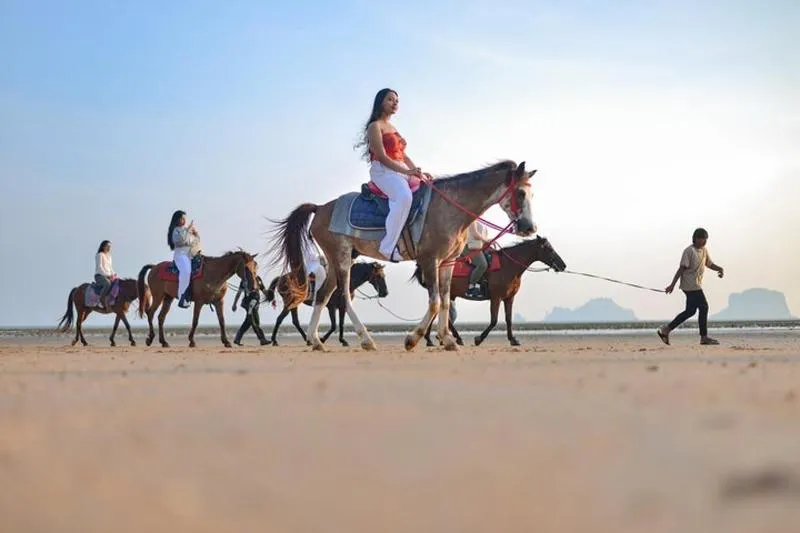 Private tour price range for Adventure Tours in Thailand from 400 THB and average 12338 THB Private tour price range for Adventure Tours in Thailand from 400 THB and average 12338 THB