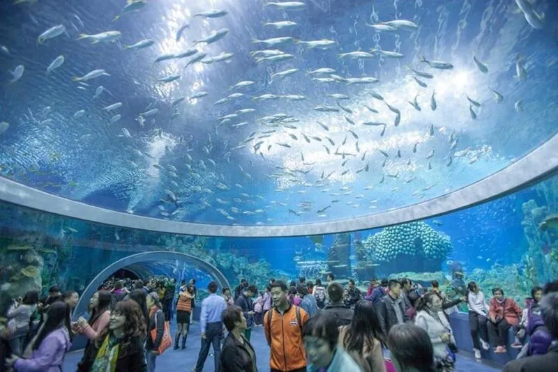 Nha Trang: Half-Day Trip to Most Symbolic Destinations