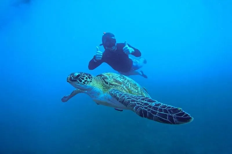 Snorkelling Trip 5 Island Tour Around Koh Tao and Koh Nang yuan