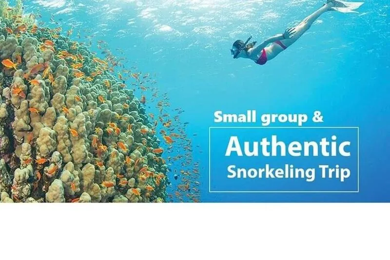 Exceptional rating tour: Real snorkel trip by speedboat with small group on Cham island | 4.6 rating