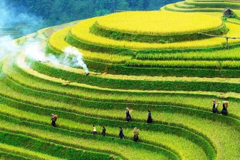 Duration range for Nature Tours in Vietnam from 1 hours to 17 hours Duration range for Nature Tours in Vietnam from 1 hours to 17 hours