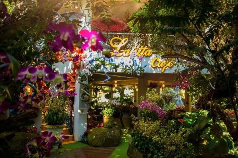 Featured tour with 13 reviews: Chiang Rai Cultural Journey Temples, Hill Tribes, and Lalita Cafe