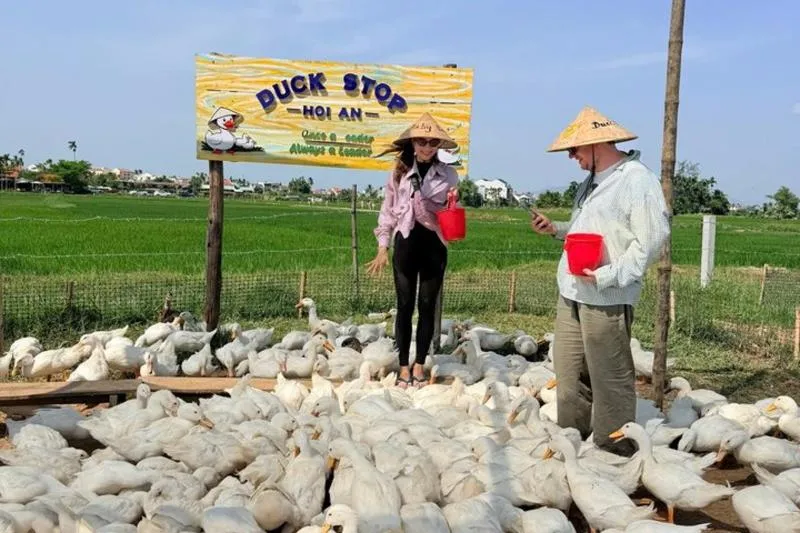 Quick Escape: Hoi An biking tour, Duck farm, Water buffalo+ Basket boat ride